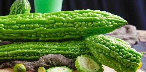 精品多肉吃瓜,探寻多肉植物中的“精品吃瓜”之旅 第3张 精品多肉吃瓜,探寻多肉植物中的“精品吃瓜”之旅 第3张